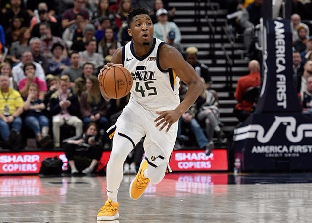 组织者还安 组织者还安